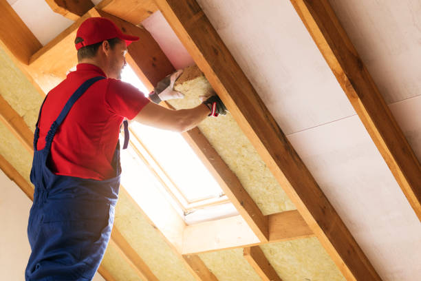 Best Attic Insulation Installation  in Duquesne, PA